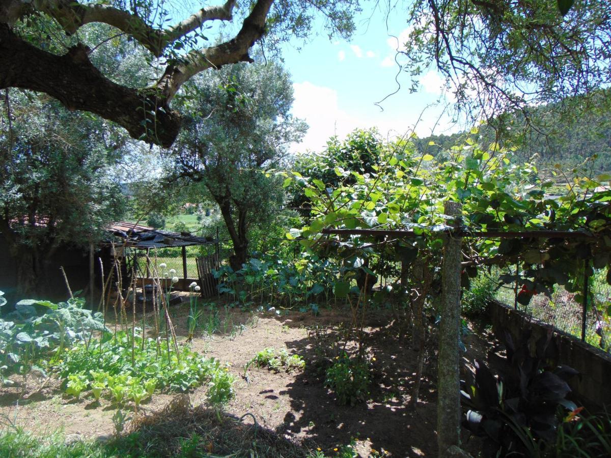 Casa Rebelo Guest House Cossourado  ภายนอก รูปภาพ