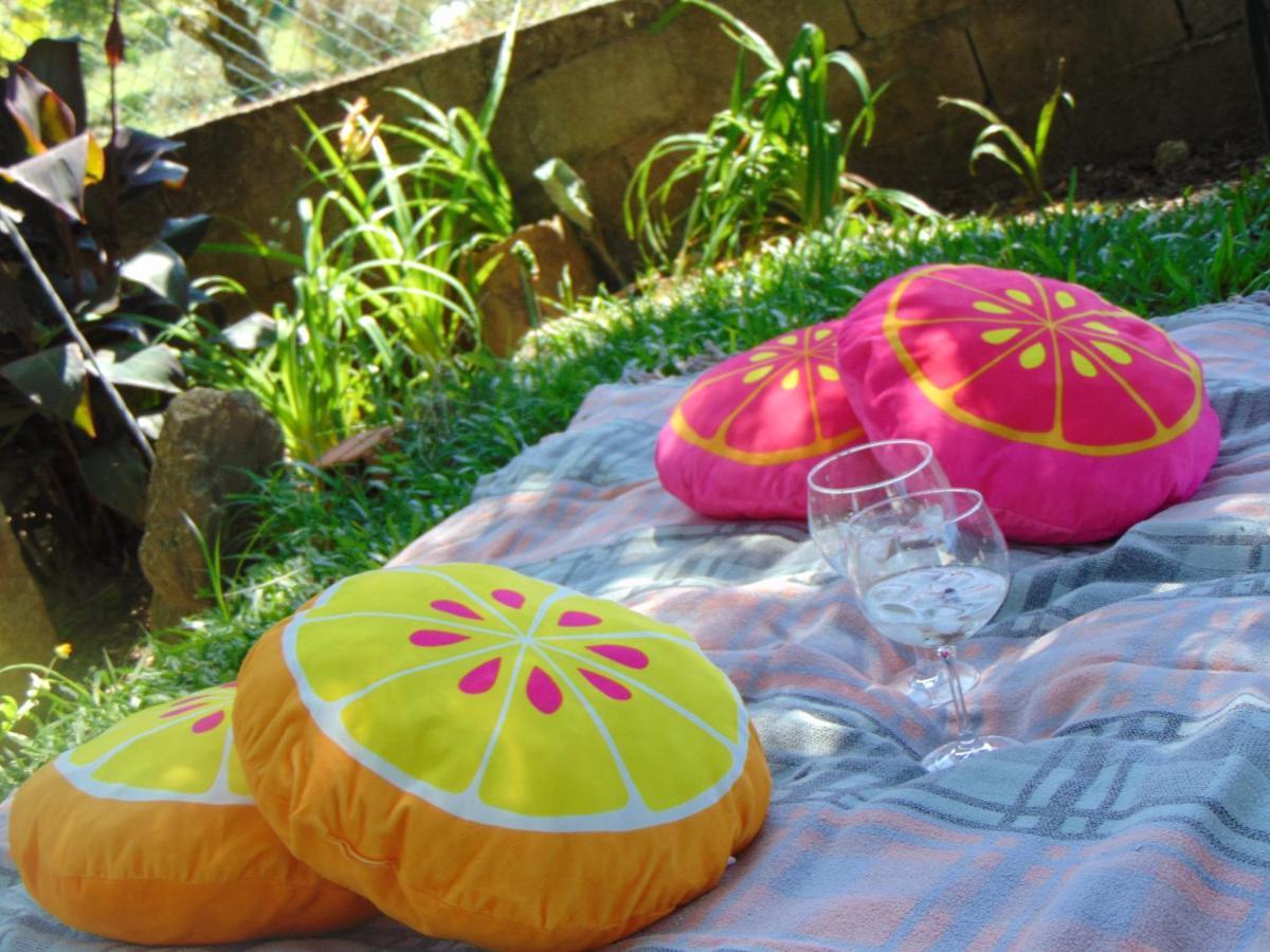 Casa Rebelo Guest House Cossourado  ภายนอก รูปภาพ
