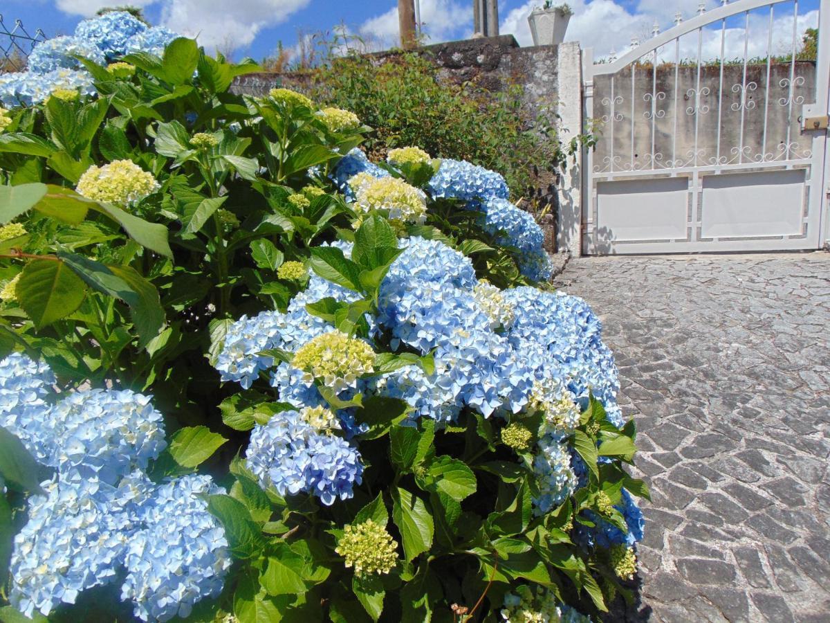 Casa Rebelo Guest House Cossourado  ภายนอก รูปภาพ