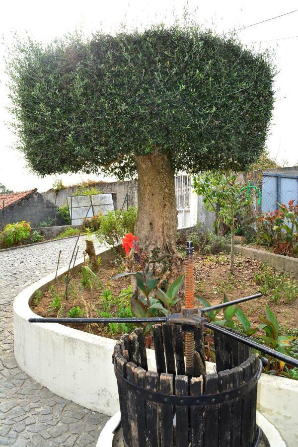 Casa Rebelo Guest House Cossourado  ภายนอก รูปภาพ