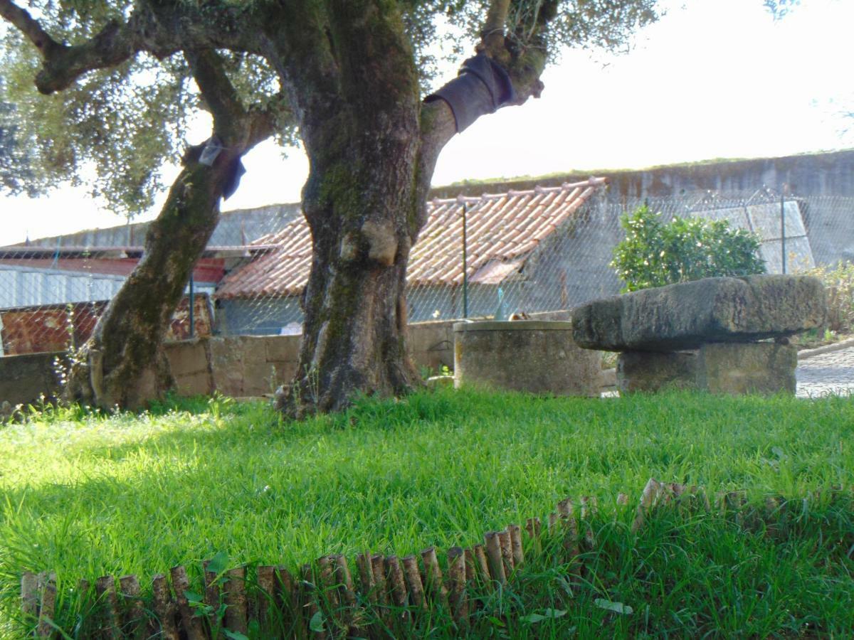 Casa Rebelo Guest House Cossourado  ภายนอก รูปภาพ